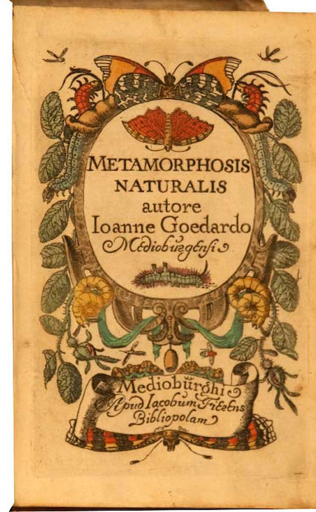 Buch